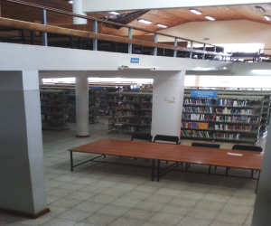 496_puea-inside-the-library.jpg