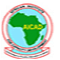 African Institute for Capacity Development