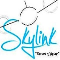 Skylink Flying School