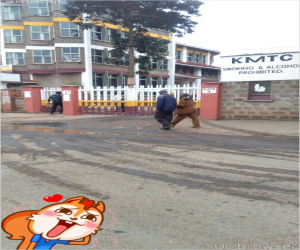 62_1273648960_KMTC-NAIROBI-MAIN-GATE-B.jpg