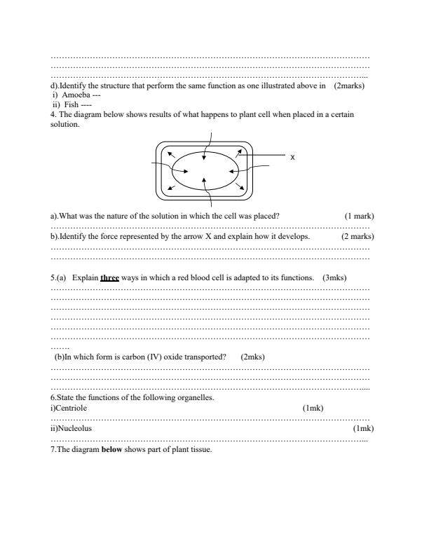 Preview page 219_1.jpg