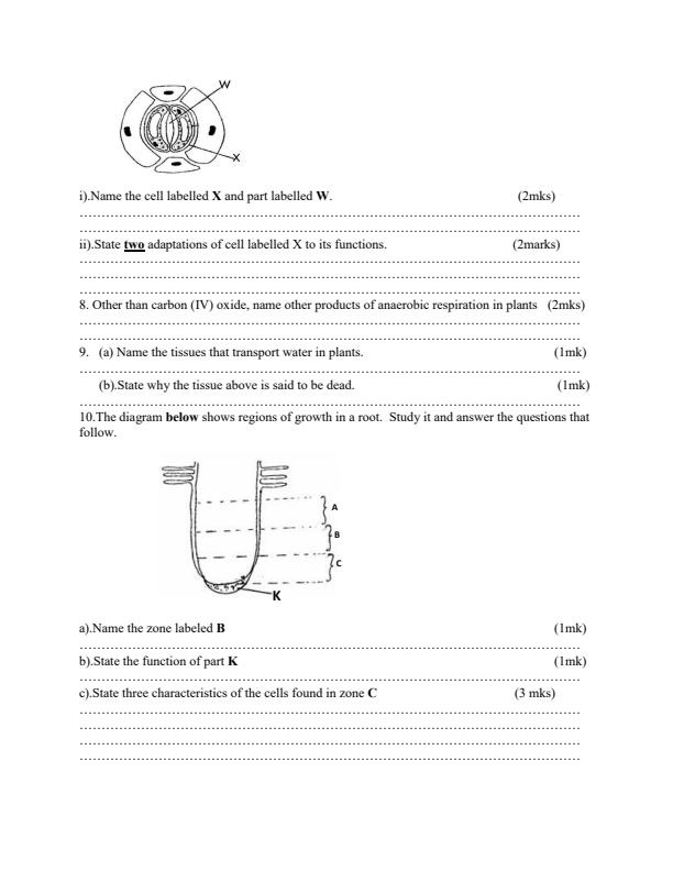 Preview page 219_2.jpg