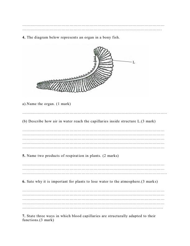 Preview page Biology-Form-2-Term-3-Opener-Examination_264_1.jpg