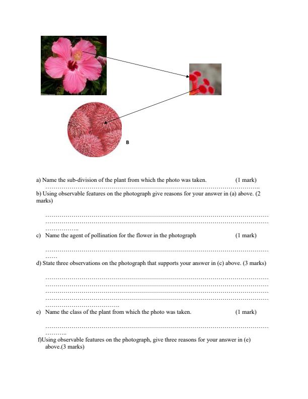 Preview page Biology-Form-3-End-of-Term-1-Paper-3-Version-2-Examination-2019_87_1.jpg