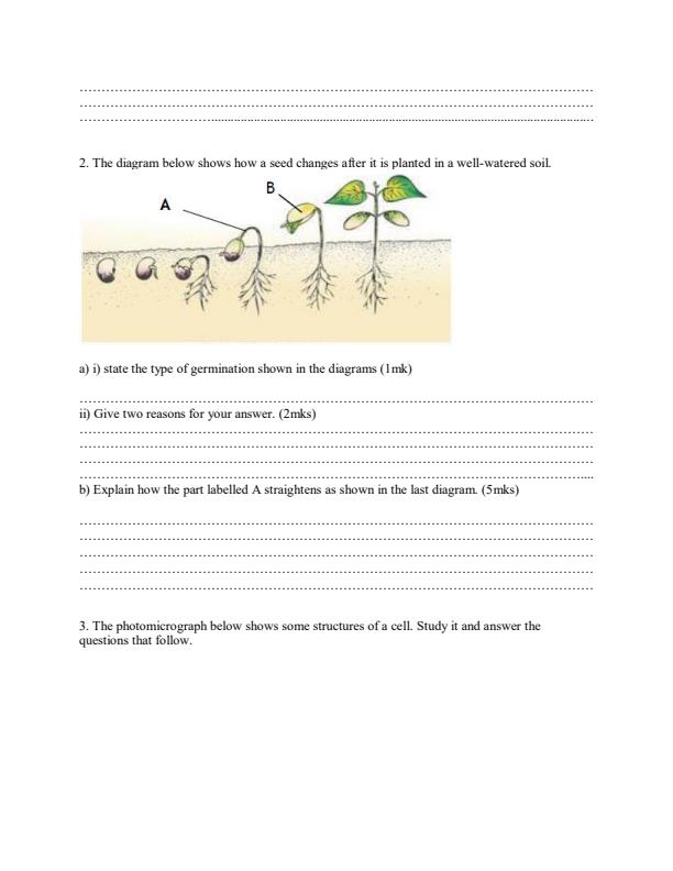 Preview page Biology-Form-3-End-of-Term-3-Paper-2-Examination-2019_355_1.jpg