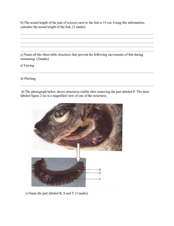 Preview page Biology-Form-3-End-of-Term-3-Paper-3-Examination-2019_356_1.jpg