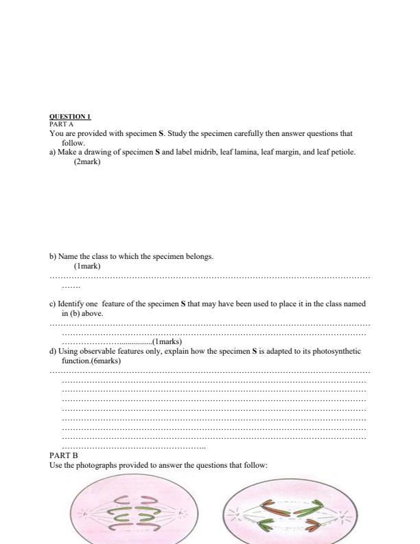 Preview page Biology-Form-4-End-of-Term-1-Paper-3-Examination-2019_81_1.jpg