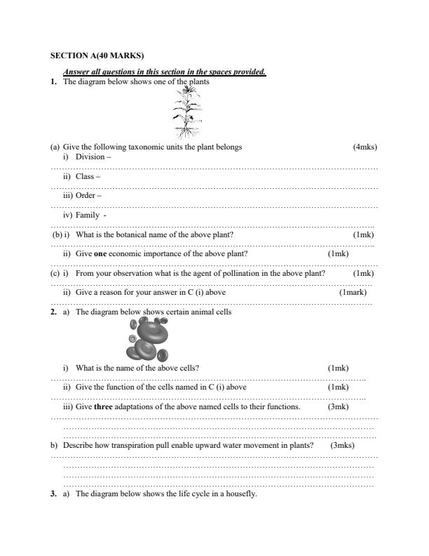 Biology-Paper-2-Form-4-End-of-Term-1-Examination-2020_653_1.jpg
