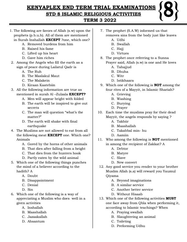 Preview page Class-8-IRE-Term-3-Examination-2022_1096_0.jpg
