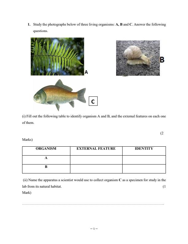 Preview page Form-1-Biology-Term-3-Opener-Exam-2024-Version-2_3056_1.jpg