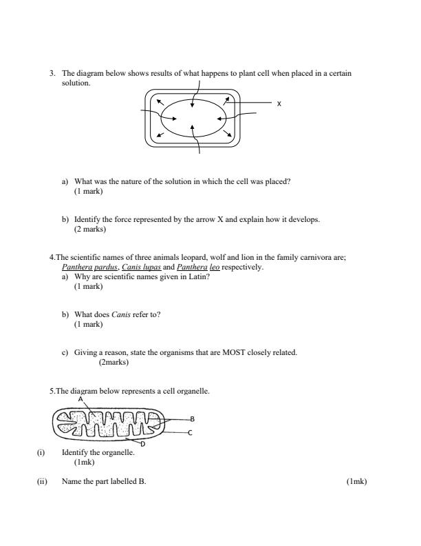 Preview page Form-1-Term-2-Biology-Opener-Exam-2019_142_1.jpg