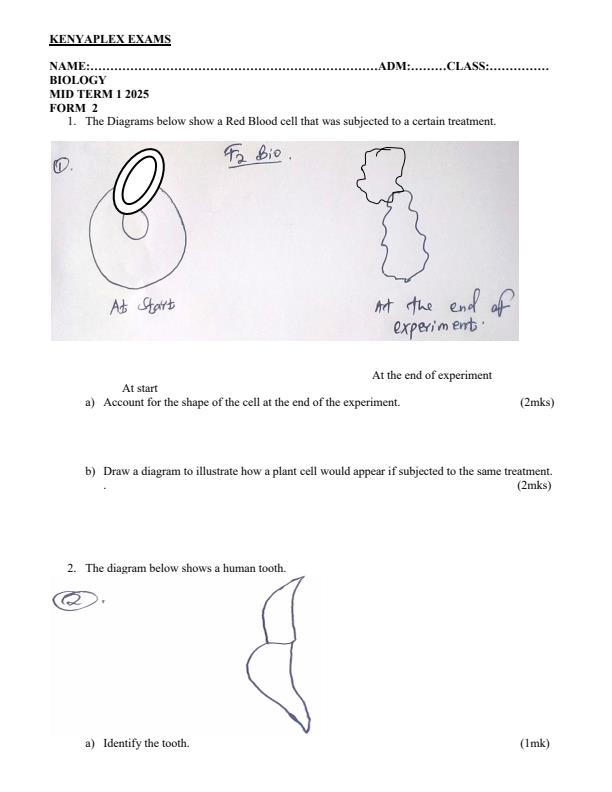 Preview page Form-2-Biology-Mid-Term-1-Exam-2025_3662_0.jpg