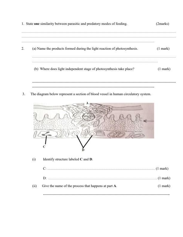 Preview page Form-2-Biology-Term-3-Opener-Exam-2024-Version-2_3072_1.jpg