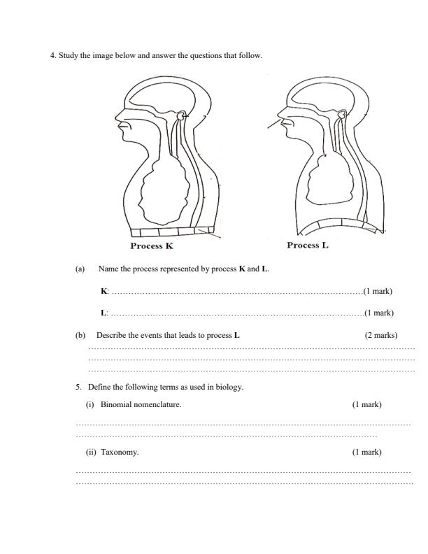 Preview page Form-2-Biology-Term-3-Opener-Exam-2024-Version-2_3072_2.jpg