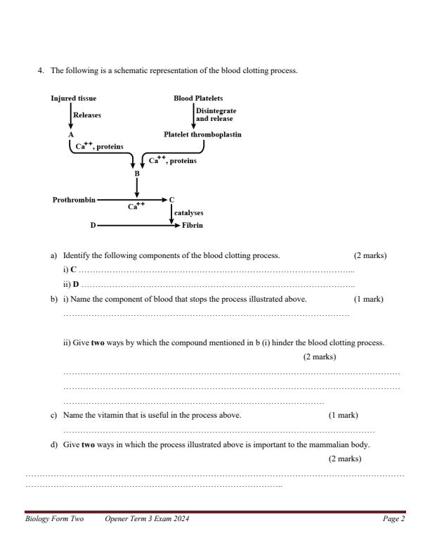 Preview page Form-2-Biology-Term-3-Opener-Exam-2024_2994_1.jpg