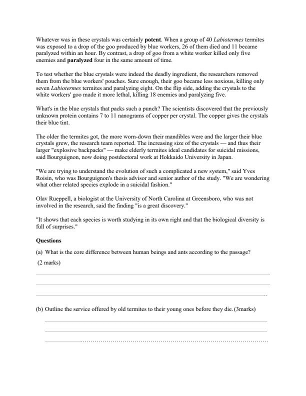 Preview page Form-2-English-Term-2-Opener-Exam-2024_2383_2.jpg