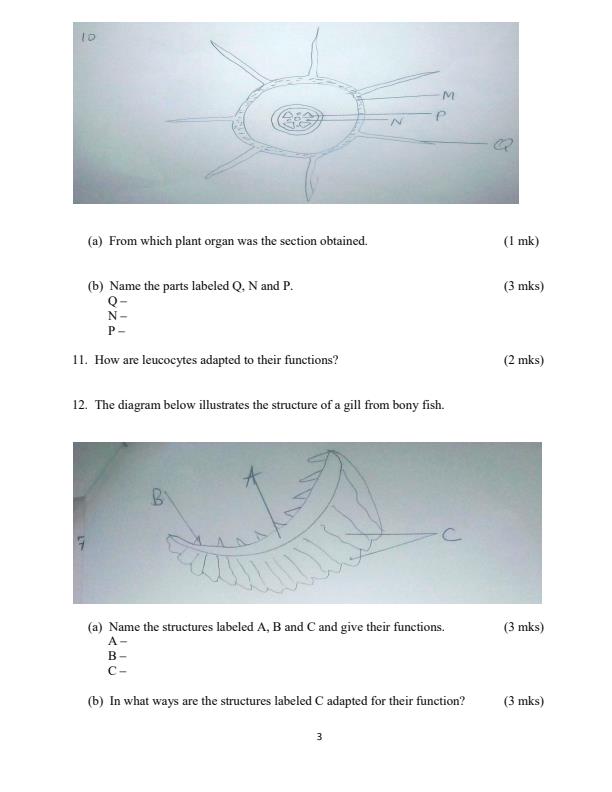 Form-3-Biology-Mid-Term-1-Examination-2024_2045_2.jpg