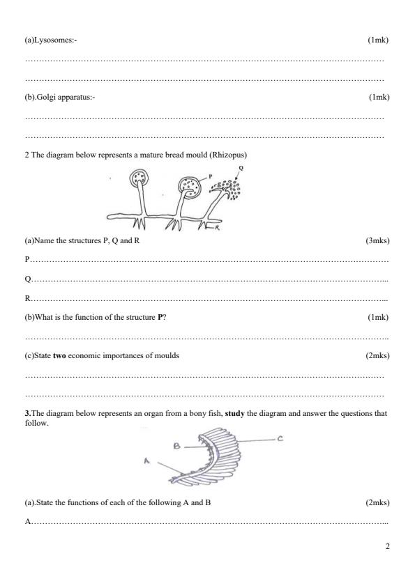 Preview page Form-3-Biology-Paper-1-End-Term-2-Exam-2026_6228_1.jpg