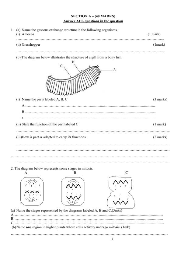 Preview page Form-3-Biology-Paper-2-End-Term-3-Exam-2026_6970_1.jpg