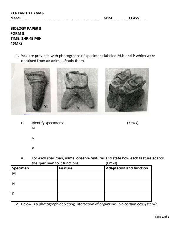 Preview page Form-3-Biology-Paper-3-End-of-Term-1-Examination-2022_1208_0.jpg