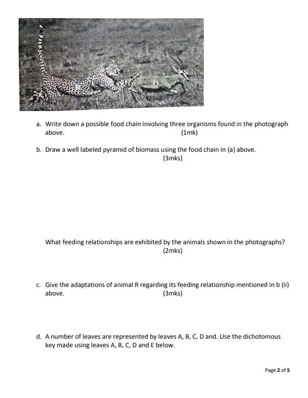 Preview page Form-3-Biology-Paper-3-End-of-Term-1-Examination-2022_1208_1.jpg