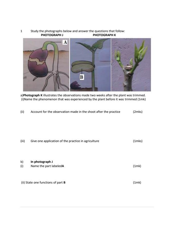 Form-3-Biology-Paper-3-End-of-Term-3-Examination-2023_1840_1.jpg