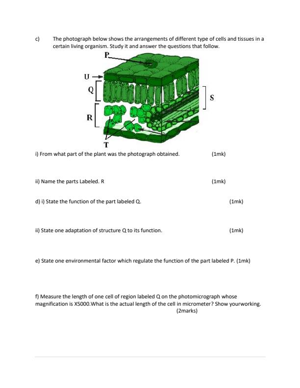 Preview page Form-3-Biology-Paper-3-End-of-Term-3-Examination-2023_1840_2.jpg