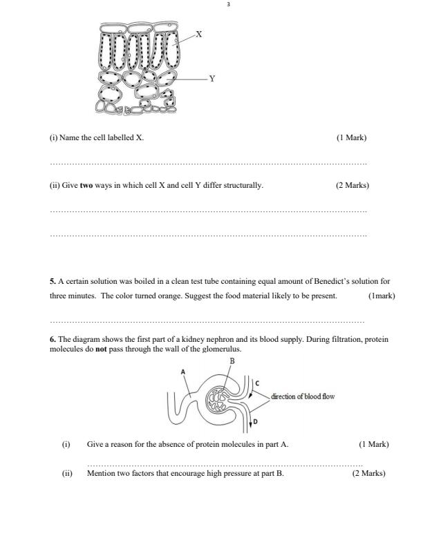 Preview page Form-3-Biology-Term-3-Opener-Exam-2024-Version-2_3090_2.jpg