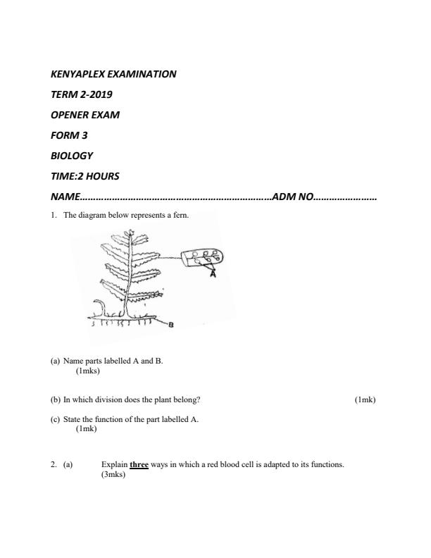 Preview page Form-3-Term-2-Biology-Opener-Exam-2019_144_0.jpg