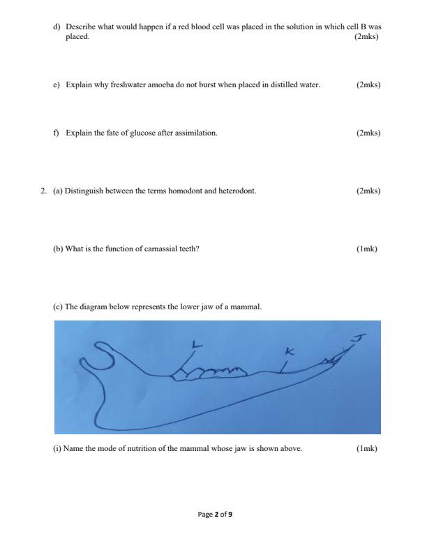 Form-4-Biology-Paper-2-End-of-Term-1-Examination-2022_1216_1.jpg
