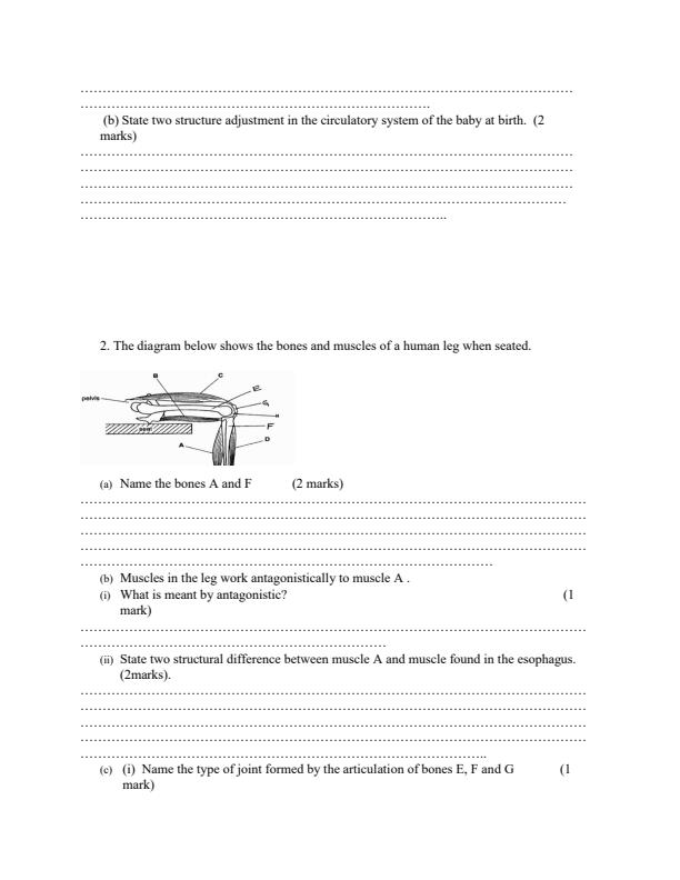 Preview page Form-4-Biology-Paper-2-Mock-Exams-Term-2-2019_214_1.jpg