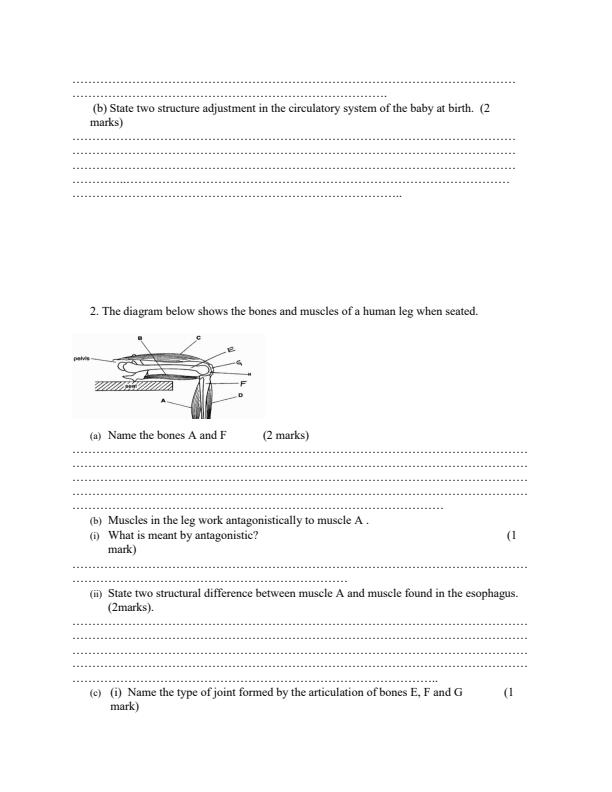 Form-4-Biology-Paper-2-Mock-Exams-Term-2-2019_214_1.jpg