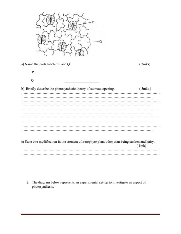 Preview page Form-4-Biology-Paper-2-Term-3-Opener-Exam-2026_6643_1.jpg