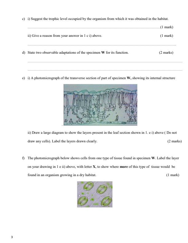 Preview page Form-4-Biology-Paper-3-End-of-Term-1-Examination-2024_2255_2.jpg