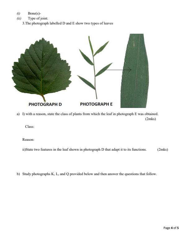 Preview page Form-4-Biology-Paper-3-End-of-Term-2-Examination-2024_2774_3.jpg