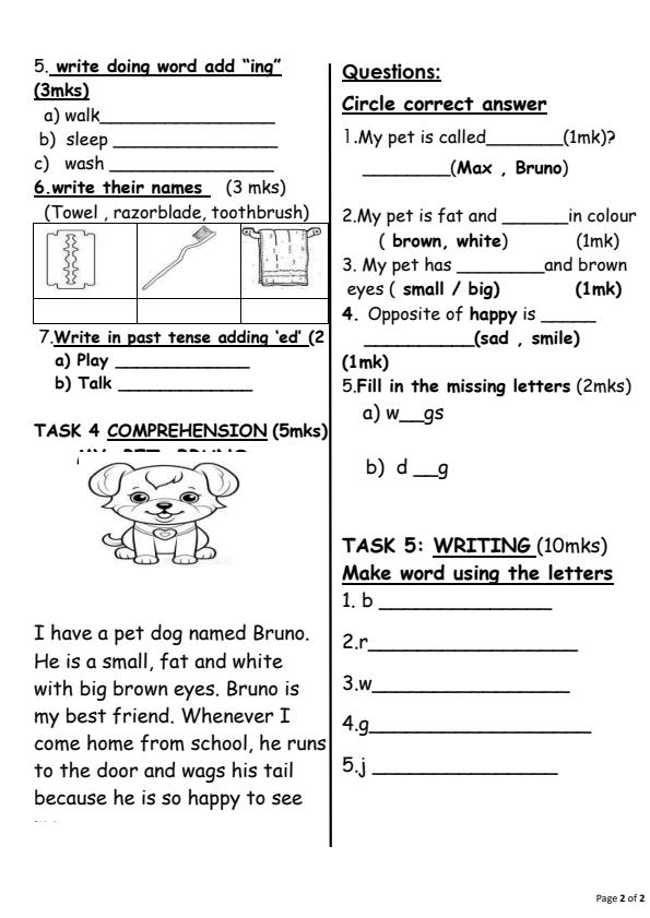 Preview page Grade-1-English-Activities-September-Assessment-Examination-2026_6689_1.jpg
