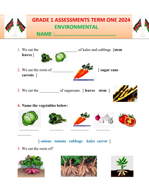 Preview page Grade-1-Environmental-Activities-Term-1-Opener-Exam-2024_1923_0.jpg