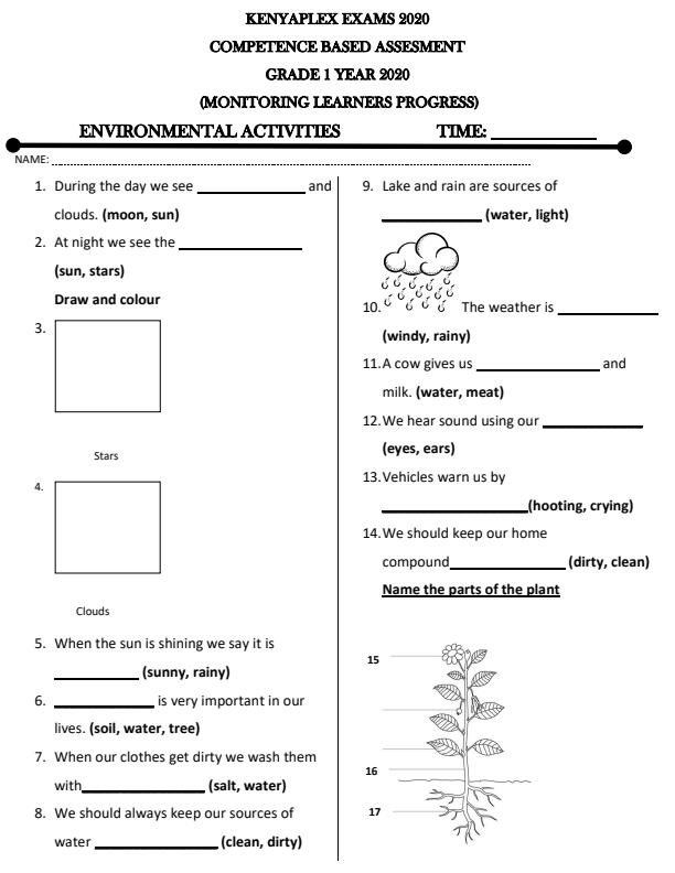 Grade 1 Environmental Activities Term 1 Opener Examination 2020 504