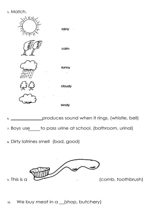 Preview page Grade-1-Environmental-Activity-End-Term-3-Exam-2026_6904_1.jpg