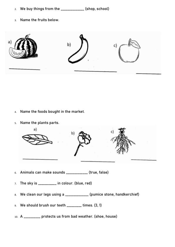 Preview page Grade-1-Environmental-Activity-Term-3-Opener-Exam-2026_6444_1.jpg