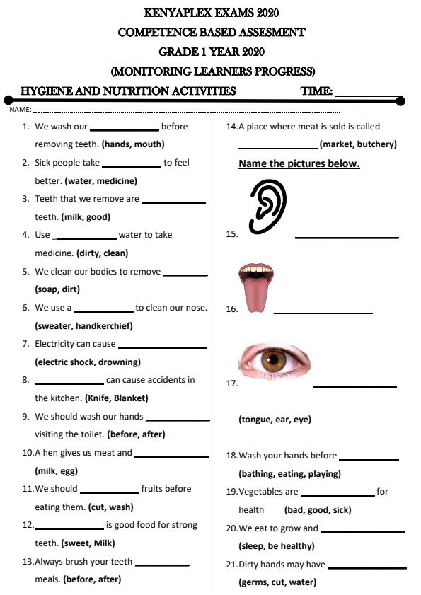 Preview page Grade-1-Hygiene-and-Nutrition-Term-1-Opener-Examination-2020_507_0.jpg