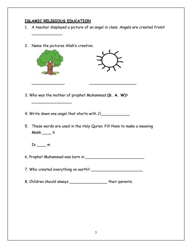 Preview page Grade-1-IRE-Activities-Term-2-Opener-Exam-2025_3982_1.jpg