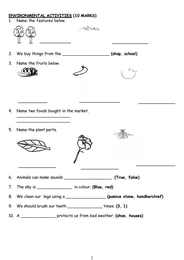 Preview page Grade-1-Integrated-Activities-Mid-Term-3-Exam-2025_4643_1.jpg