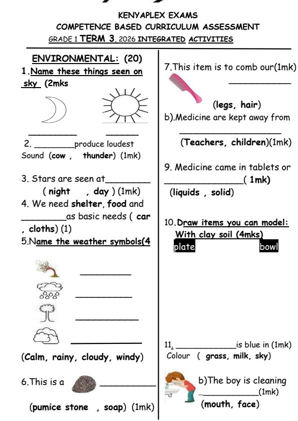 Preview page Grade-1-Integrated-Activities-September-Assessment-Examinationation-2026_6690_0.jpg