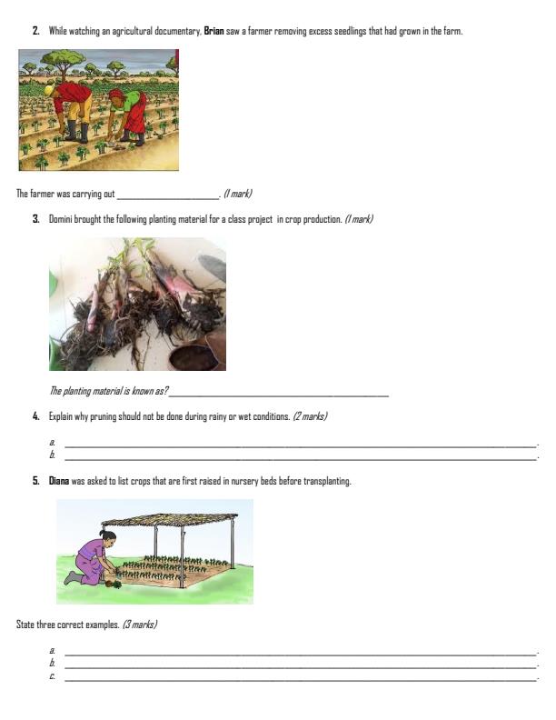 Preview page Grade-10-Applied-Agriculture-Term-2-Opener-Exam-2026_5642_1.jpg