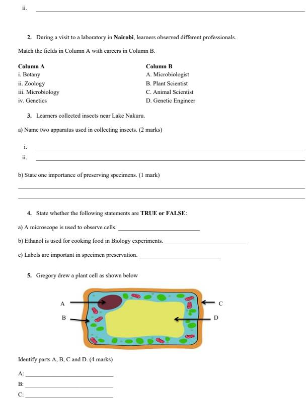 Preview page Grade-10-Biology-End-Term-2-Exam-2026_6130_1.jpg