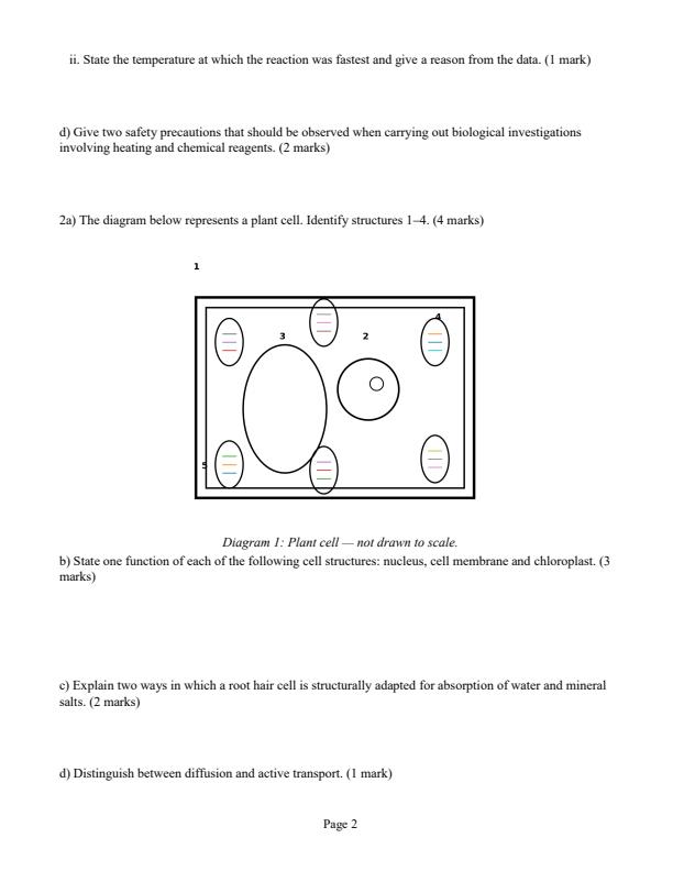 Preview page Grade-10-Biology-September-Assessment-Examination-2026_6718_1.jpg
