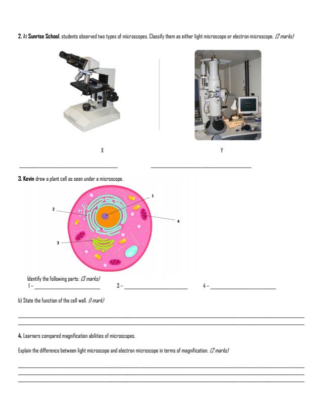 Preview page Grade-10-Biology-Term-2-Opener-Exam-2026_5644_1.jpg