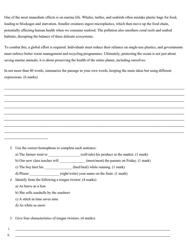 Preview page Grade-10-English-and-Literature-Opener-Exam-Term-1-2026_5025_2.jpg