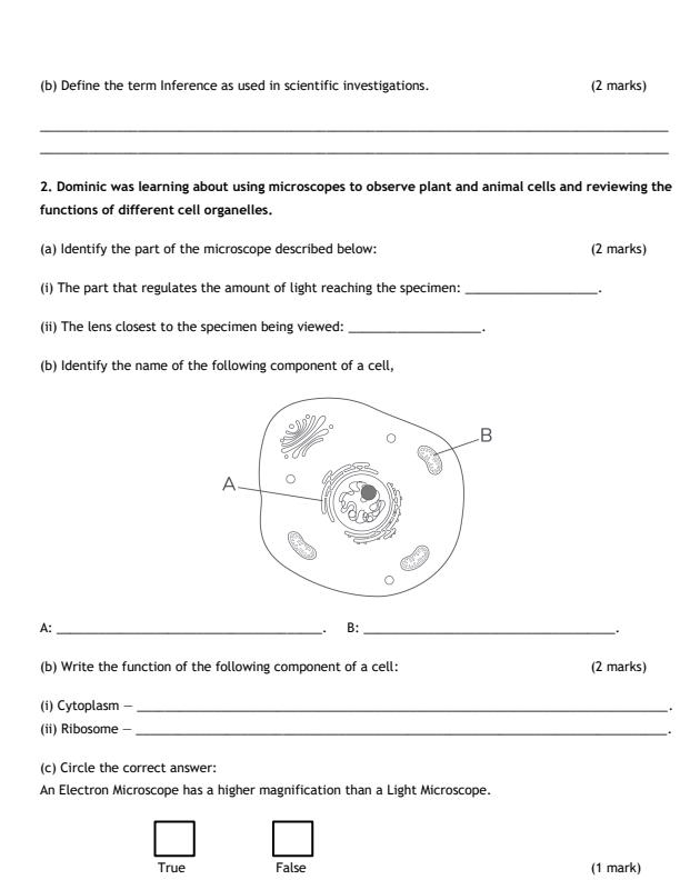 Preview page Grade-10-General-Science-Mid-Term-2-Exam-2026_5939_1.jpg